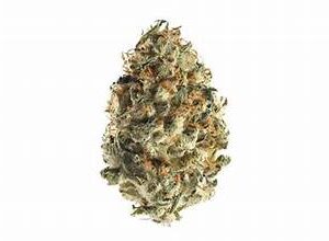 Chem 51 THCA Indica Flower