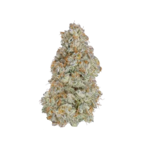 Cereal Milk Snow Cap