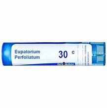 Boiron | Eupatorium Perfoliatum | Homeopathic | 30c | 80 Pellets