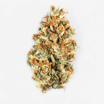 American Pie 30% Sativa THCA Flower By The Gram
